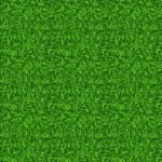Seamless green grass vector pattern. Grass pattern, lawn grass, green grass nature illustration